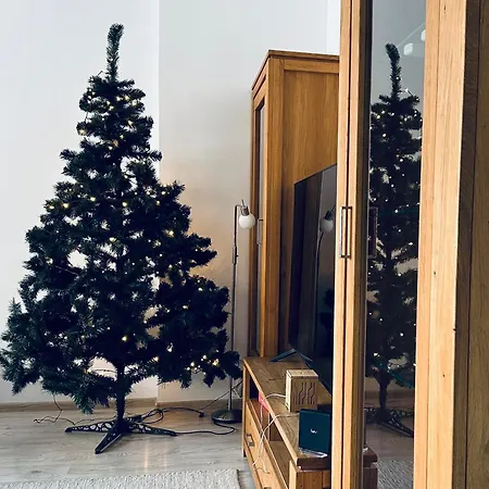 Carla Comfort * Košice